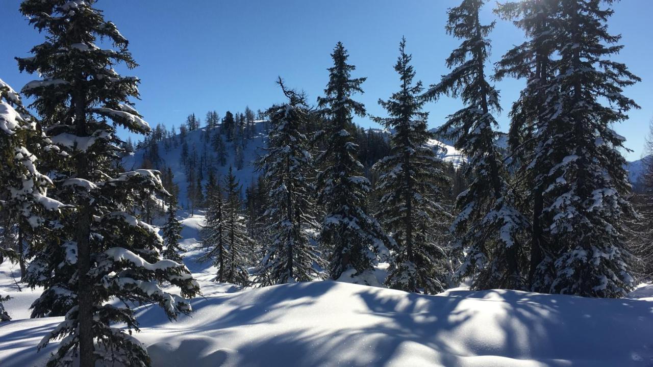 Gut Schablberg Ferienhaus *